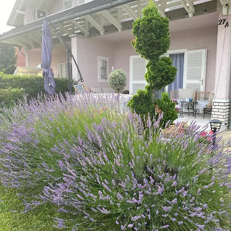 Scamard 빌라 자르마디