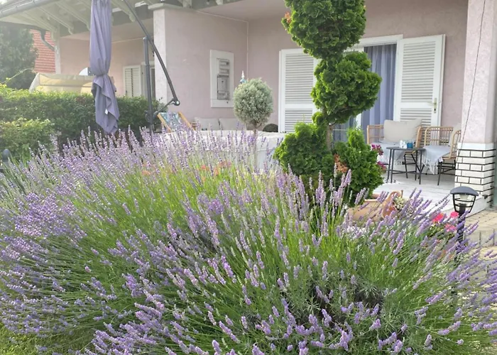 Scamard Villa Zamárdi